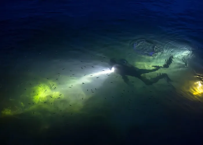 Palazzo Mottola 3* 特罗佩阿